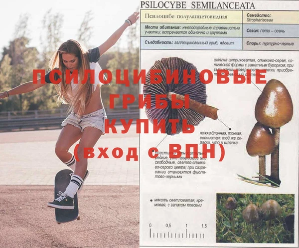 синтетический гашиш Абинск