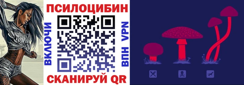 Галлюциногенные грибы Cubensis  Цимлянск 